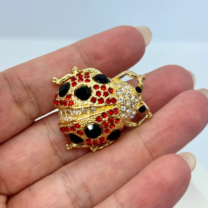 Uğur böceği broş